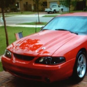 Meet your Posher, Benjamin